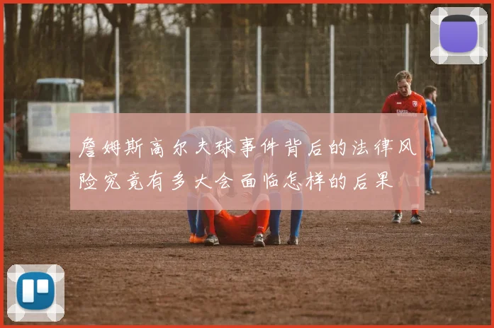 詹姆斯高尔夫球事件背后的法律风险究竟有多大会面临怎样的后果